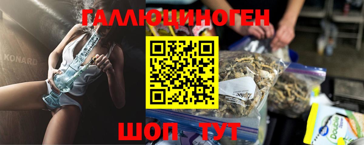 Галлюциногенные грибы Psilocybine cubensis  Псилоцибиновые грибы Psilocybine cubensis  Вход с VPN  Чистополь 